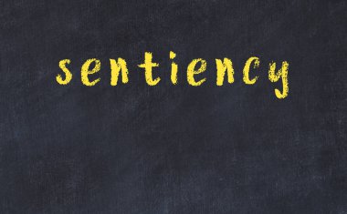 Duyarlılık sözcüğünün yazılı olduğu üniversite tebeşir masası.