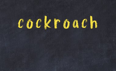 Üzerinde hamamböceği yazılı siyah karatahta.