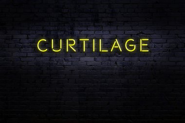 Neon işareti. Tuğla duvara karşı kelime iltihabı. Gece görünümü