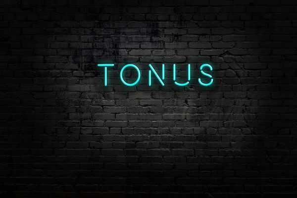 Πινακίδα νέον με επιγραφή tonus στον τοίχο από τούβλα — Φωτογραφία Αρχείου
