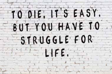 Beyaz tuğla duvara zekice alıntılar yazılı siyah bir yazı.