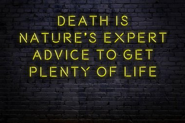 Zekice ve motive edici bir alıntı. Tuğla duvarda neon işareti