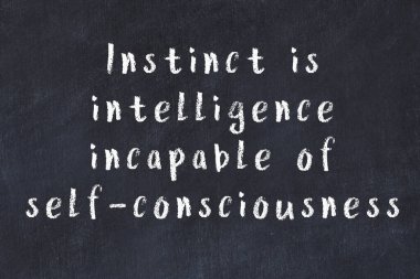 Siyah karatahtaya Tebeşir Bilgisi Yazısı