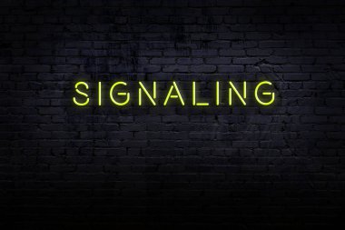 Neon işareti. Kelimeler tuğla duvara karşı geliyor. Gece görünümü