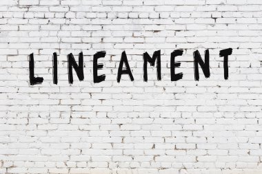 Beyaz tuğla duvara yazılmış bir yazı.