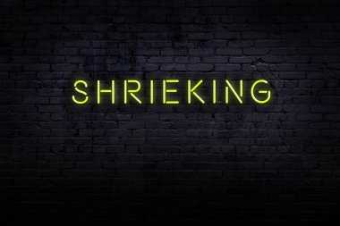 Neon işareti. Kelimeler tuğla duvara karşı haykırıyor. Gece görünümü