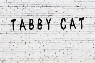 Beyaz tuğla duvara yazılan tekir kedi.