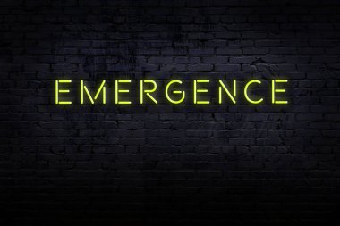 Neon işareti. Tuğla duvara karşı kelime ortaya çıkıyor. Gece görünümü