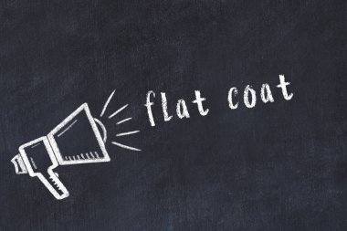 Tebeşir hoparlörü ve siyah karatahtaya yazılı düz ceket.