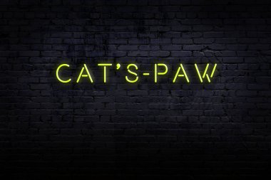 Neon işareti. Kelime kedi pençesi tuğla duvara karşı. Gece görünümü