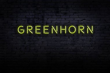 Neon işareti. Tuğlaya karşı çaylak sözü. Gece görünümü