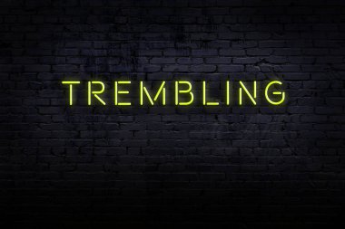 Neon işareti. Kelimeler tuğla duvara karşı titriyor. Gece görünümü