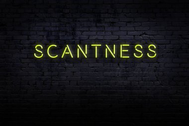 Neon işareti. Kelimeler tuğla duvara karşı yetersiz kalıyor. Gece görünümü