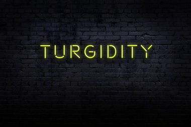 Tuğla duvardaki neon levhanın gece görünümü ve yazı bütünlüğü.