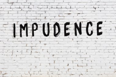 Beyaz tuğla duvara kazınmış edepsizlik.