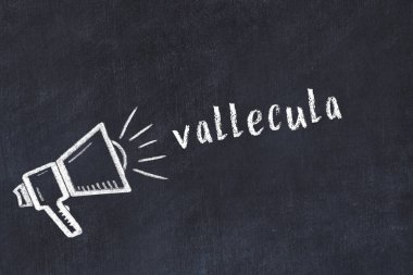 Siyah karatahtaya tebeşir hoparlörü ve yazıt vallecula