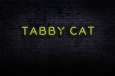 Neon işareti. Kelime tekir kedi tuğladan duvara karşı. Gece görünümü