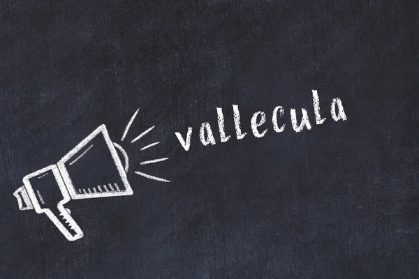 Siyah karatahtaya tebeşir hoparlörü ve yazıt vallecula