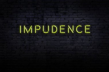 Tuğla duvardaki neon levhanın gece görüşü.