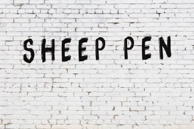 Üzerinde siyah boyalı koyun kalemi olan beyaz bir duvar.