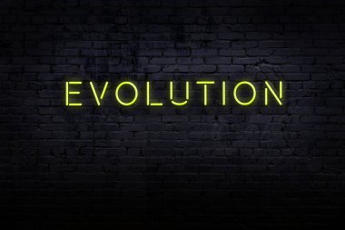 Neon işareti. Kelime evrimi tuğla duvara karşı. Gece görünümü
