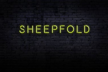 Neon işareti. Koyun ağılına karşı tuğla duvar. Gece görünümü