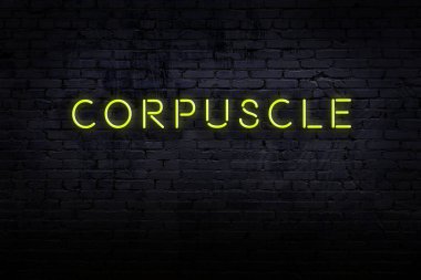 Neon işareti. Kelime yuvarlağı tuğla duvara karşı. Gece görünümü