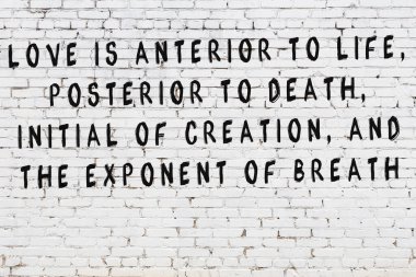 Beyaz tuğla duvara zekice alıntılar yazılı siyah bir yazı.