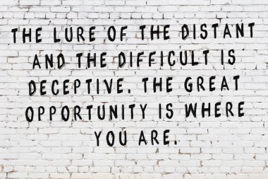 Beyaz tuğla duvara zekice alıntılar yazılı siyah bir yazı.