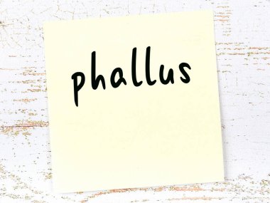 Tahta duvarda el yazısıyla yazılmış penisi olan sarı yapışkan bir not.