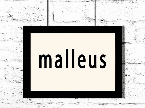 碑文malleusと白いレンガの壁にぶら下がっている黒いフレーム — ストック写真