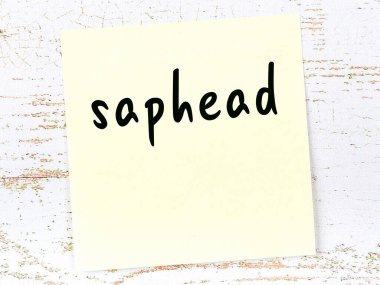 Tahta duvardaki sarı yapışkan notta el yazısıyla yazılmış safir başlık var.