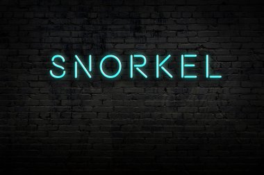 Neon işareti. Kelime tuğla duvara karşı şnorkel. Gece görünümü