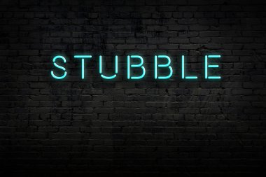 Neon işareti. Duvara karşı kelime sakalı. Gece görünümü