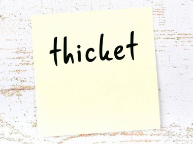 Tahta duvarda el yazısıyla yazılmış sarı yapışkan bir not var.