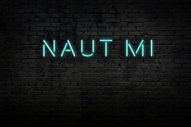 Tuğla duvardaki neon tabelanın gece görüşü ve yazıt naut mi