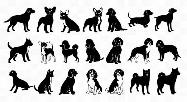 Разнообразие силуэтов породы собак отображаются в различных позах, все изолированы на чистом белом фоне.