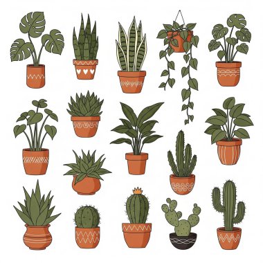 Eşsiz terracotta ekicilerinde sergilenen el yapımı iç mekan bitkileri ve kaktüslerden oluşan büyüleyici bir karışım..