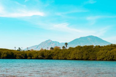 Baluran Ulusal Parkı 'nda güzel bir deniz manzarası, sahil, mangrov ormanı ve dağlar. Yazın mangrov ormanları ve dağları olan deniz manzarası. Baluran Seyisi.