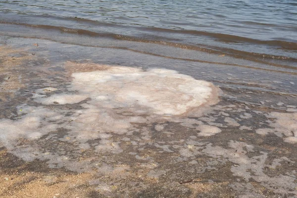 Kirli su, sahili kirleten bir köpük yaratır. Baluran plaj ortamını koruma ve koruma kavramı. Sahildeki sanayi kirliliği.