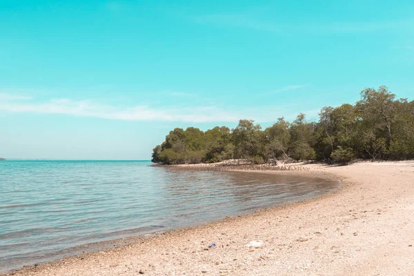 Baluran Ulusal Parkı 'nda güzel bir deniz manzarası, sahil, mangrov ormanı ve dağlar. Yazın mangrov ormanları ve dağları olan deniz manzarası. Baluran Seyisi.