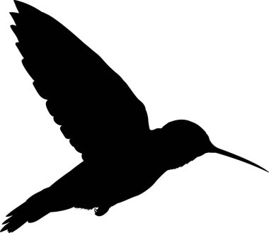 Sinek kuşu. Web simgesi basit illüstrasyon