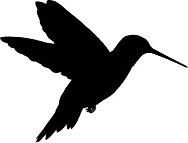 Sinek kuşu. Web simgesi basit illüstrasyon