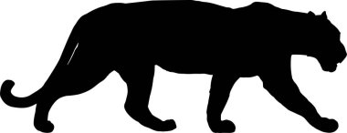 dişi aslan vektör çiziminin siyah silueti