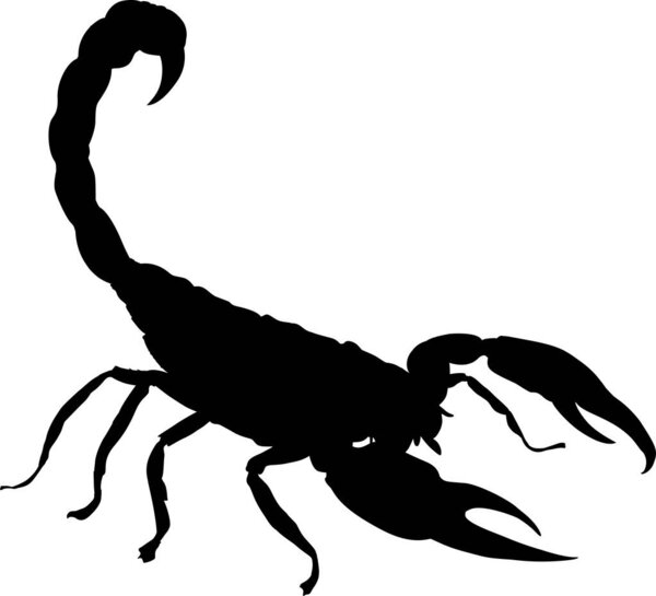 векторная иллюстрация плоского чёрного скорпиона