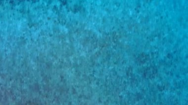 Su mavisi okyanus manzaralı egzotik turist plajı manzarası ve temiz kum arka planı.
