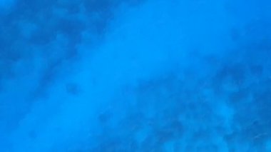 Beyaz kum zeminli sığ okyanus kıyısında rahatlatıcı tatil beldesi turizmi.