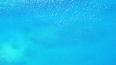 Şeffaf okyanus ve beyaz kum arka planında egzotik turist plajı tatilinin insansız hava aracı.