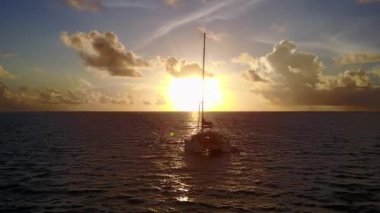 Deniz kıyısı yaban hayatının sığ deniz ve beyaz kum arka planındaki hava aracı dokusu.