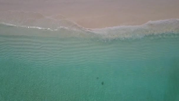 Drone texture of luxury lagoon beach holiday by blue sea and white sand background — Stock Video